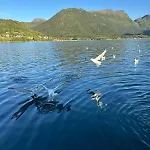 With A View