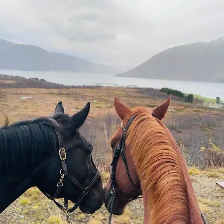 With A View