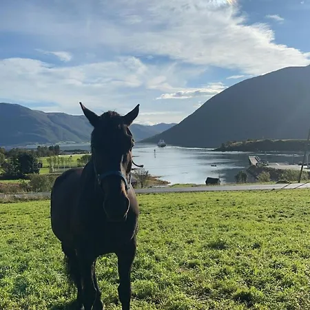With A View